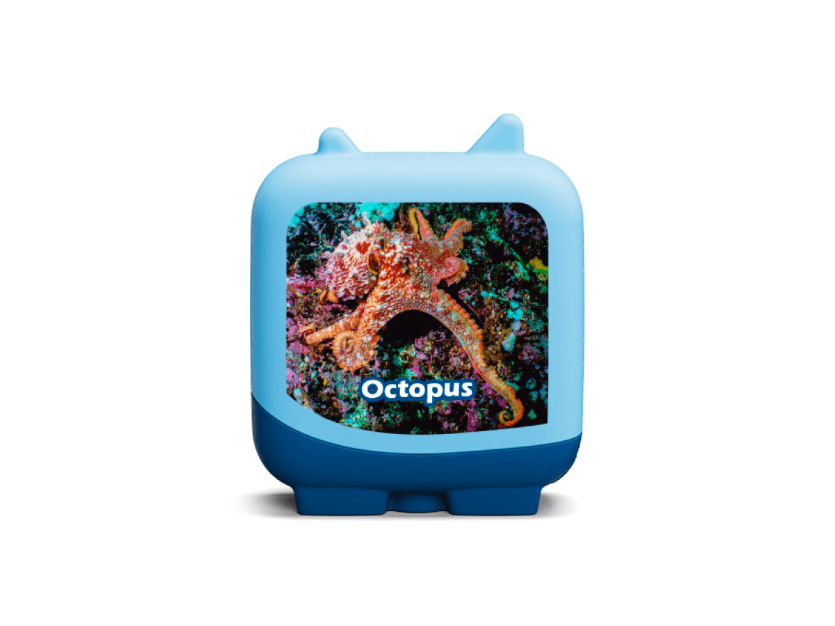 Marine Life Pocket Tonies - 4 Pack