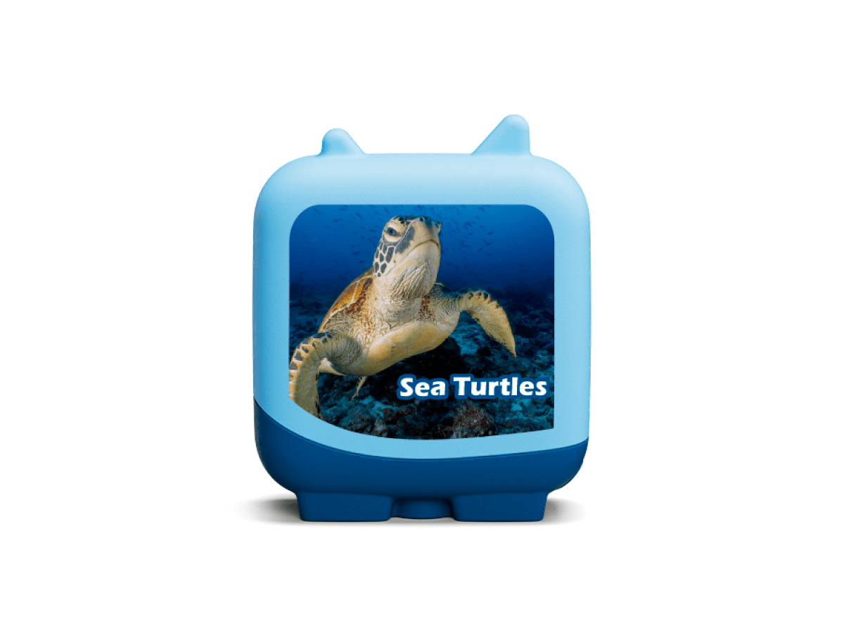 Marine Life Pocket Tonies - 4 Pack