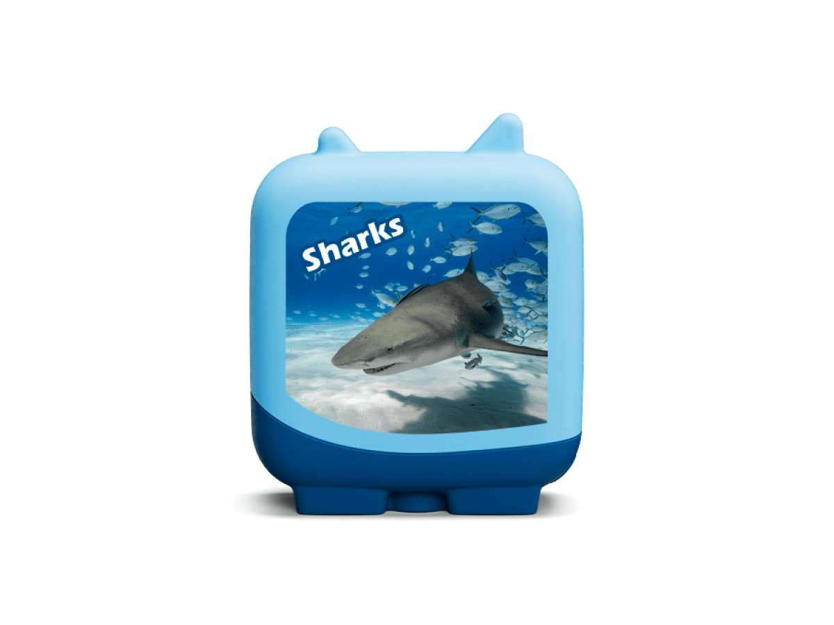 Marine Life Pocket Tonies - 4 Pack