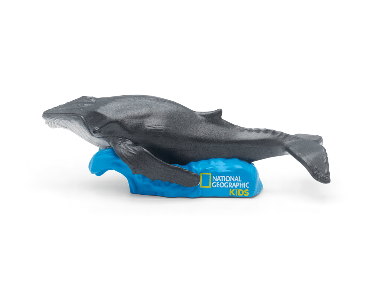 National Geographic Kids 7 Tonies Set