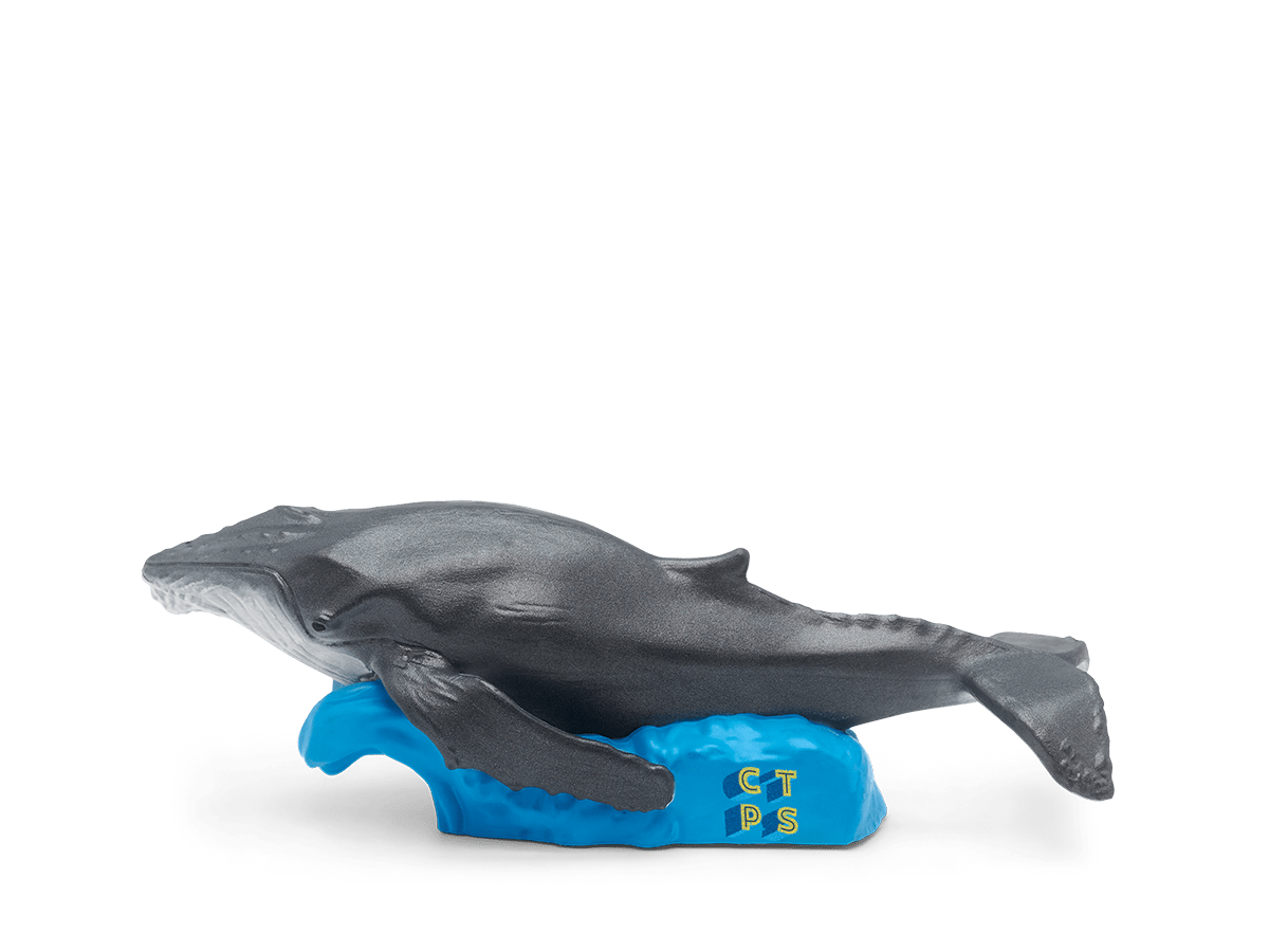 National Geographic Kids: Whale Tonie